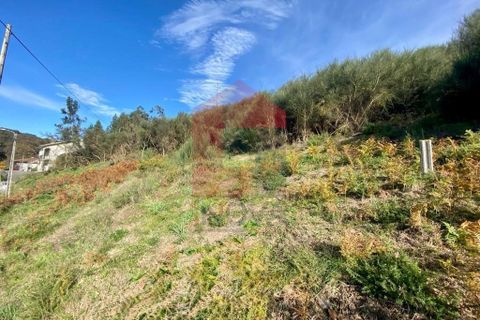 Helårsgrund i Vila Verde, Braga, Vila Verde - € 29.000 | Ref: 08743 - foto 5