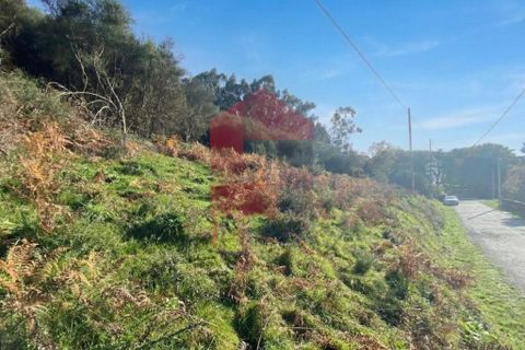 Helårsgrund i Vila Verde, Braga, Vila Verde - € 29.000 | Ref: 08743 - foto 6