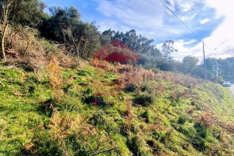 Helårsgrund i Vila Verde, Braga, Vila Verde - € 29.000 | Ref: 08743 - foto 11