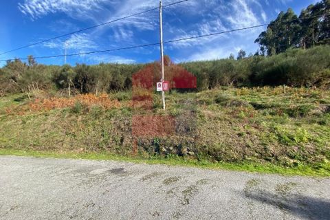 Helårsgrund i Vila Verde, Braga, Vila Verde - € 29.000 | Ref: 08743 - foto 21