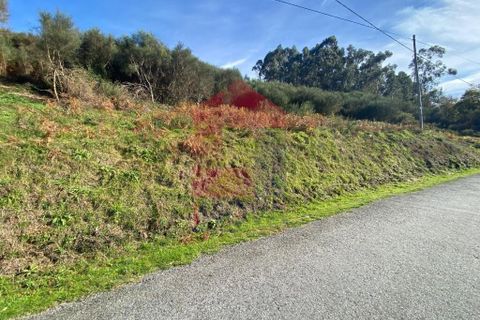Helårsgrund i Vila Verde, Braga, Vila Verde - € 29.000 | Ref: 08743 - foto 23