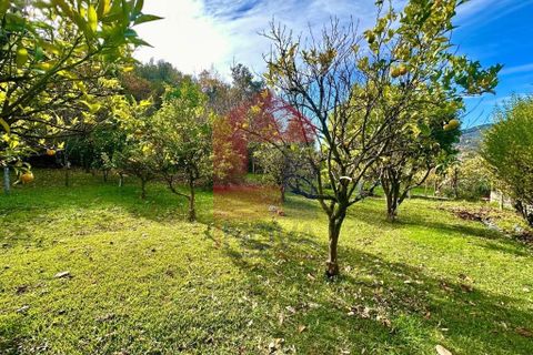 Byhus i Vila Verde, Braga, Vila Verde - € 300.000 | Ref: 08746 - foto 28