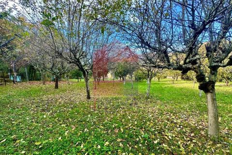 Byhus i Vila Verde, Braga, Vila Verde - € 300.000 | Ref: 08746 - foto 29