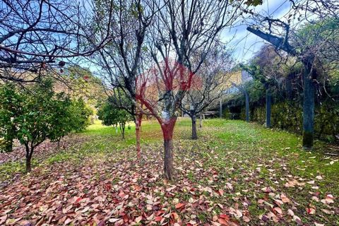 Byhus i Vila Verde, Braga, Vila Verde - € 300.000 | Ref: 08746 - foto 31