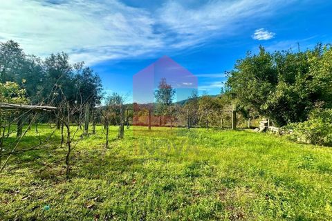 Byhus i Vila Verde, Braga, Vila Verde - € 300.000 | Ref: 08746 - foto 34