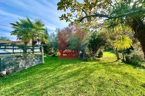Byhus i Vila Verde, Braga, Vila Verde - € 300.000 | Ref: 08746 - foto 37