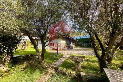 Byhus i Vila Verde, Braga, Vila Verde - € 300.000 | Ref: 08746 - foto 47