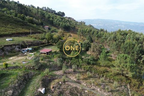 Helårsgrund i Ponte de Lima, Viana do Castelo, Ponte de Lima - € 100.000 | Ref: ONE0011365-57 - foto 3