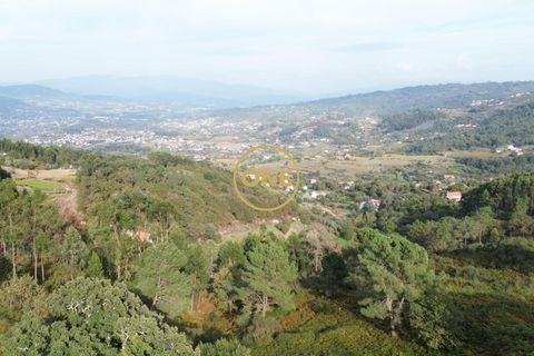 Helårsgrund i Ponte de Lima, Viana do Castelo, Ponte de Lima - € 100.000 | Ref: ONE0011365-57 - foto 4