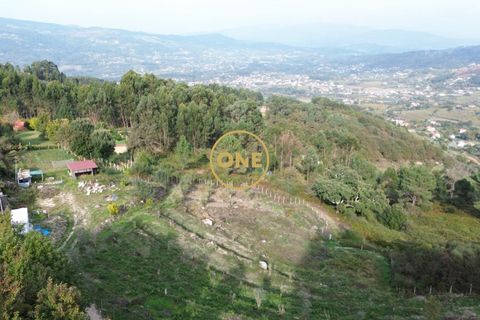 Helårsgrund i Ponte de Lima, Viana do Castelo, Ponte de Lima - € 100.000 | Ref: ONE0011365-57 - foto 5