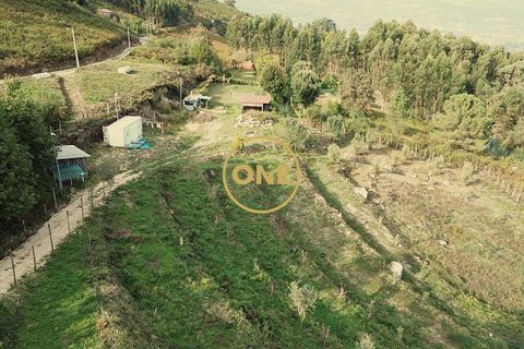 Helårsgrund i Ponte de Lima, Viana do Castelo, Ponte de Lima - € 100.000 | Ref: ONE0011365-57 - foto 6