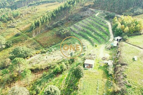 Helårsgrund i Ponte de Lima, Viana do Castelo, Ponte de Lima - € 100.000 | Ref: ONE0011365-57 - foto 7