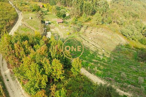 Helårsgrund i Ponte de Lima, Viana do Castelo, Ponte de Lima - € 100.000 | Ref: ONE0011365-57 - foto 8