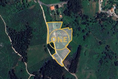 Helårsgrund i Ponte de Lima, Viana do Castelo, Ponte de Lima - € 100.000 | Ref: ONE0011365-57 - foto 11