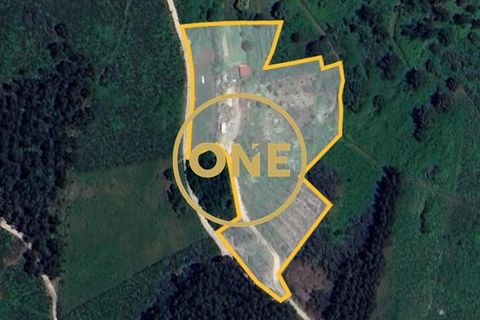 Helårsgrund i Ponte de Lima, Viana do Castelo, Ponte de Lima - € 100.000 | Ref: ONE0011365-57 - foto 12