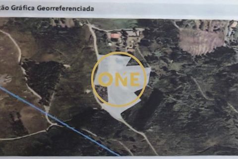 Helårsgrund i Ponte de Lima, Viana do Castelo, Ponte de Lima - € 100.000 | Ref: ONE0011365-57 - foto 13