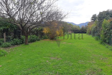 Byhus i Lucca, Lucca, Lucca - € 450.000 | Ref: A3386 - foto 37