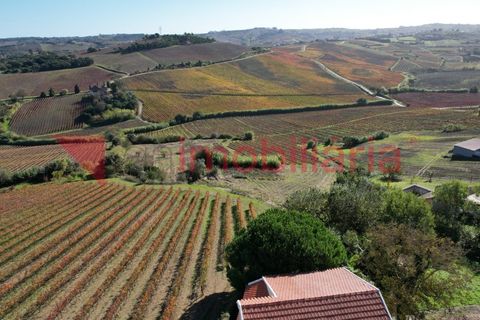 Villa i Alenquer, Lisbon, Alenquer - € 289.000 | Ref: 207001001 - foto 6