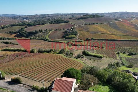 Villa i Alenquer, Lisbon, Alenquer - € 289.000 | Ref: 207001001 - foto 8