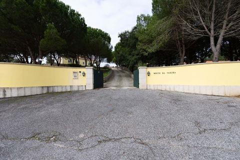 Farm hus i Lousa, Coimbra, Lousa - € 1.950.000 | Ref: LX - 2276 - foto 40