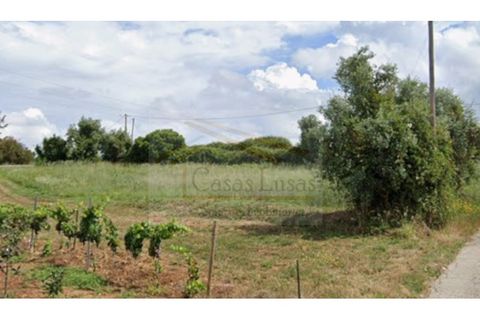 Helårsgrund i Cadaval, Lisbon, Cadaval - € 42.000 | Ref: CL25026 - foto 1