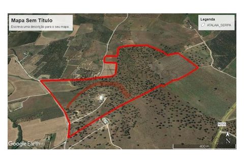 Landejendom i Serpa, Beja, Serpa - € 1.200.000 | Ref: EXP_1639 - foto 1