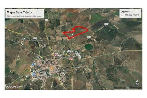 Landejendom i Serpa, Beja, Serpa - € 1.200.000 | Ref: EXP_1639 - foto 3