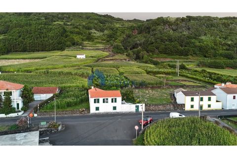 Villa i Lajes do Pico, Pico, Lajes do Pico - € 160.000 | Ref: AZO1-0270 - foto 3