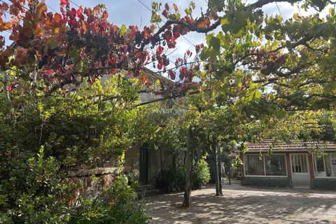 Villa i Viana do Castelo, Viana do Castelo, Viana do Castelo - € 150.000 | Ref: 1001 - Moradia Térrea em Covas - foto 3