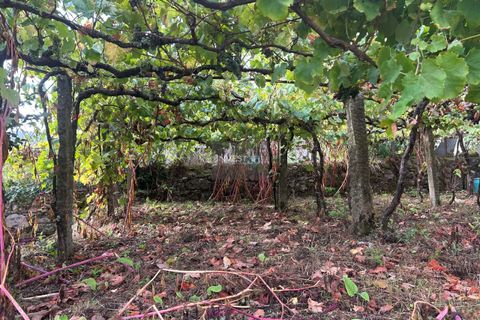 Villa i Viana do Castelo, Viana do Castelo, Viana do Castelo - € 150.000 | Ref: 1001 - Moradia Térrea em Covas - foto 6