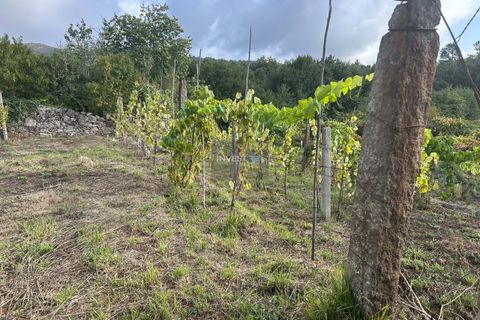 Villa i Viana do Castelo, Viana do Castelo, Viana do Castelo - € 150.000 | Ref: 1001 - Moradia Térrea em Covas - foto 10