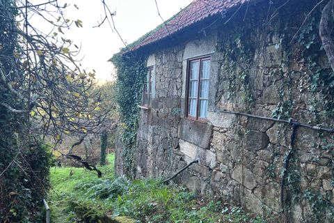 Villa i Viana do Castelo, Viana do Castelo, Viana do Castelo - € 120.000 | Ref: 1002 - Propriedade em Vilares Covas - foto 3