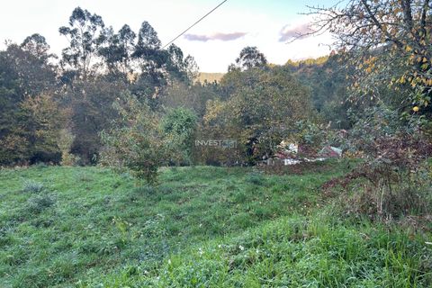 Villa i Viana do Castelo, Viana do Castelo, Viana do Castelo - € 120.000 | Ref: 1002 - Propriedade em Vilares Covas - foto 6