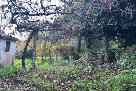 Villa i Viana do Castelo, Viana do Castelo, Viana do Castelo - € 120.000 | Ref: 1002 - Propriedade em Vilares Covas - foto 7