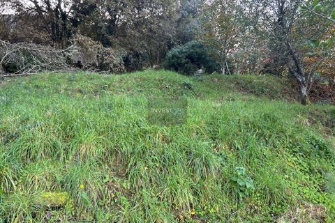 Villa i Viana do Castelo, Viana do Castelo, Viana do Castelo - € 120.000 | Ref: 1002 - Propriedade em Vilares Covas - foto 9