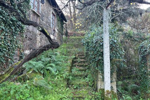 Villa i Viana do Castelo, Viana do Castelo, Viana do Castelo - € 120.000 | Ref: 1002 - Propriedade em Vilares Covas - foto 1