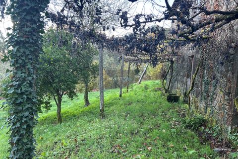 Villa i Viana do Castelo, Viana do Castelo, Viana do Castelo - € 120.000 | Ref: 1002 - Propriedade em Vilares Covas - foto 10