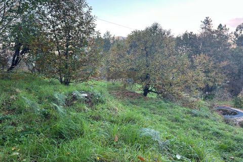 Villa i Viana do Castelo, Viana do Castelo, Viana do Castelo - € 120.000 | Ref: 1002 - Propriedade em Vilares Covas - foto 11
