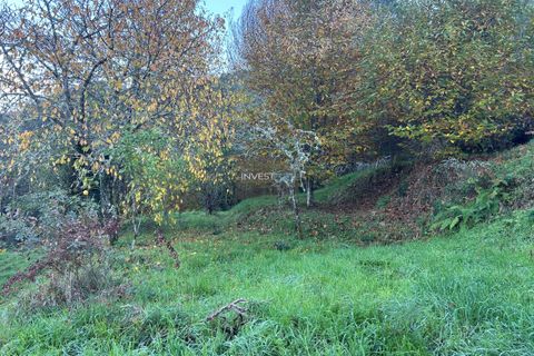 Villa i Viana do Castelo, Viana do Castelo, Viana do Castelo - € 120.000 | Ref: 1002 - Propriedade em Vilares Covas - foto 13