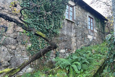 Villa i Viana do Castelo, Viana do Castelo, Viana do Castelo - € 120.000 | Ref: 1002 - Propriedade em Vilares Covas - foto 2