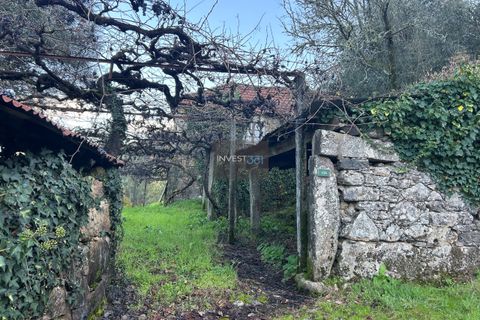 Villa i Viana do Castelo, Viana do Castelo, Viana do Castelo - € 120.000 | Ref: 1002 - Propriedade em Vilares Covas - foto 4