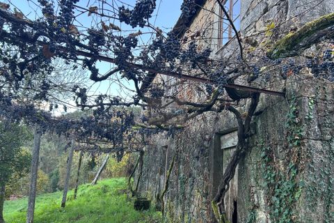 Villa i Viana do Castelo, Viana do Castelo, Viana do Castelo - € 120.000 | Ref: 1002 - Propriedade em Vilares Covas - foto 16