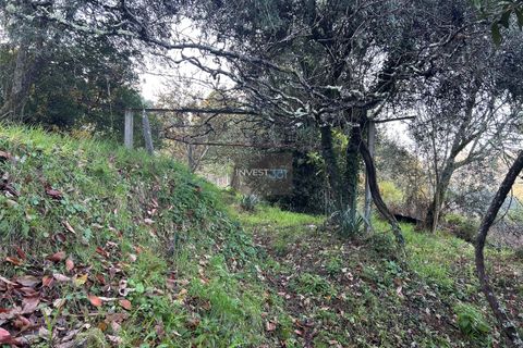 Villa i Viana do Castelo, Viana do Castelo, Viana do Castelo - € 120.000 | Ref: 1002 - Propriedade em Vilares Covas - foto 18