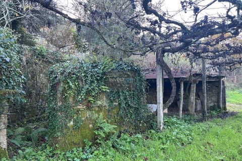 Villa i Viana do Castelo, Viana do Castelo, Viana do Castelo - € 120.000 | Ref: 1002 - Propriedade em Vilares Covas - foto 19