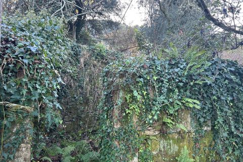 Villa i Viana do Castelo, Viana do Castelo, Viana do Castelo - € 120.000 | Ref: 1002 - Propriedade em Vilares Covas - foto 20