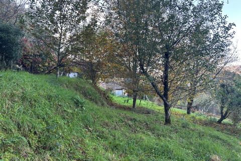 Villa i Viana do Castelo, Viana do Castelo, Viana do Castelo - € 120.000 | Ref: 1002 - Propriedade em Vilares Covas - foto 21