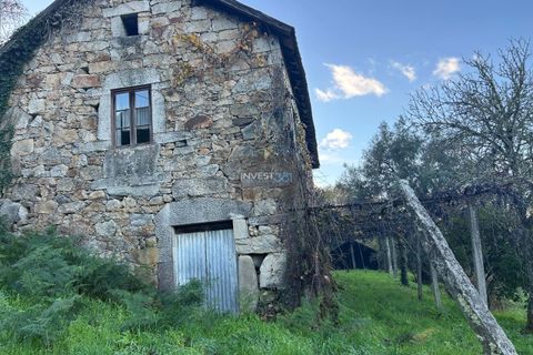 Villa i Viana do Castelo, Viana do Castelo, Viana do Castelo - € 120.000 | Ref: 1002 - Propriedade em Vilares Covas - foto 22