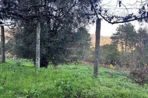 Villa i Viana do Castelo, Viana do Castelo, Viana do Castelo - € 120.000 | Ref: 1002 - Propriedade em Vilares Covas - foto 23