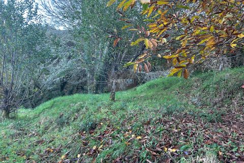 Villa i Viana do Castelo, Viana do Castelo, Viana do Castelo - € 120.000 | Ref: 1002 - Propriedade em Vilares Covas - foto 24