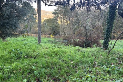 Villa i Viana do Castelo, Viana do Castelo, Viana do Castelo - € 120.000 | Ref: 1002 - Propriedade em Vilares Covas - foto 25